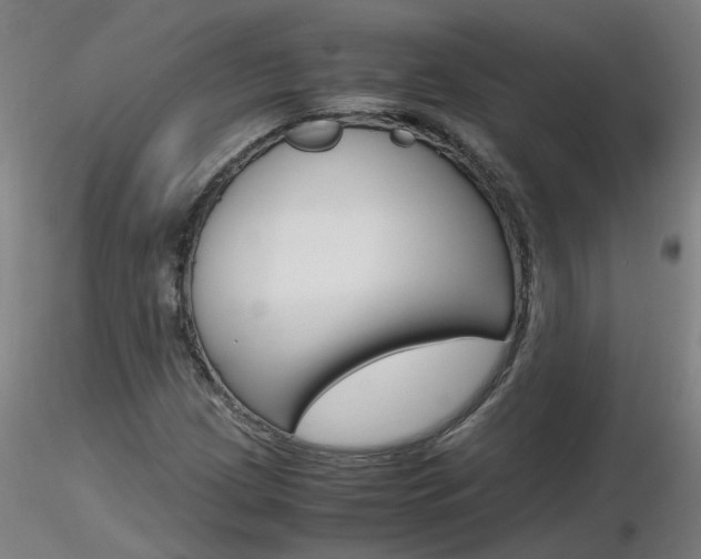 X0000116801209200912181110