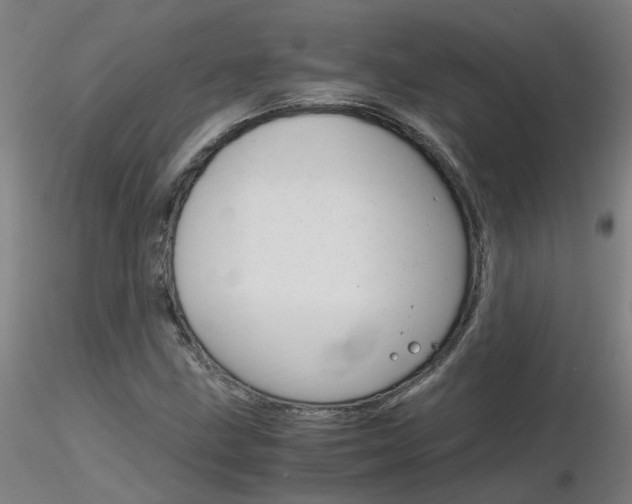 X0000116801211200912181110
