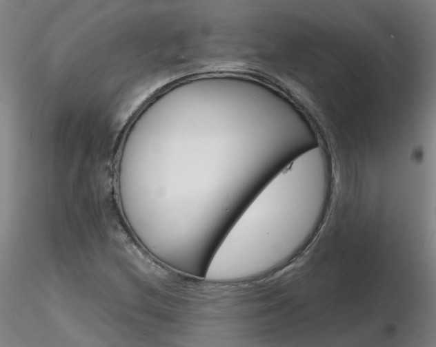 X0000116801212200912181110