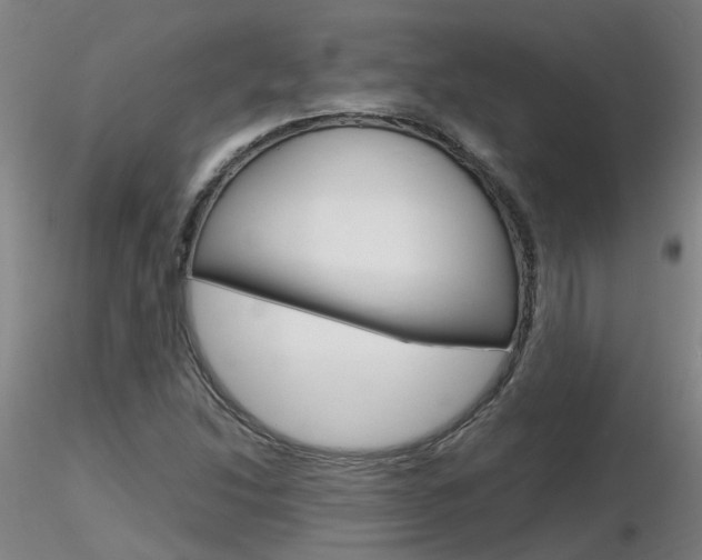 X0000116801214200912181110