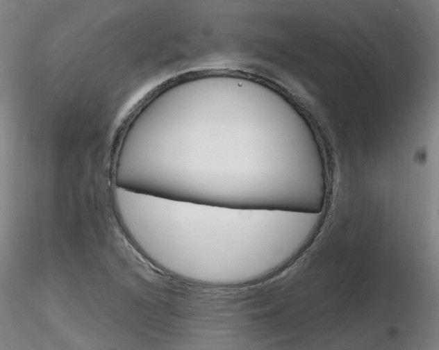 X0000116801216200912181110