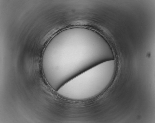 X0000116801217200912181110