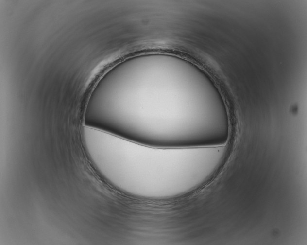 X0000116801218200912181110