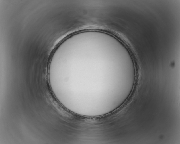 X0000116801220200912181110