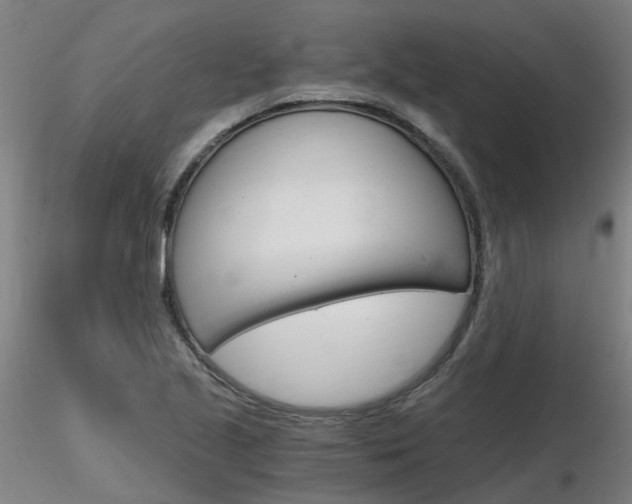 X0000116801221200912181110