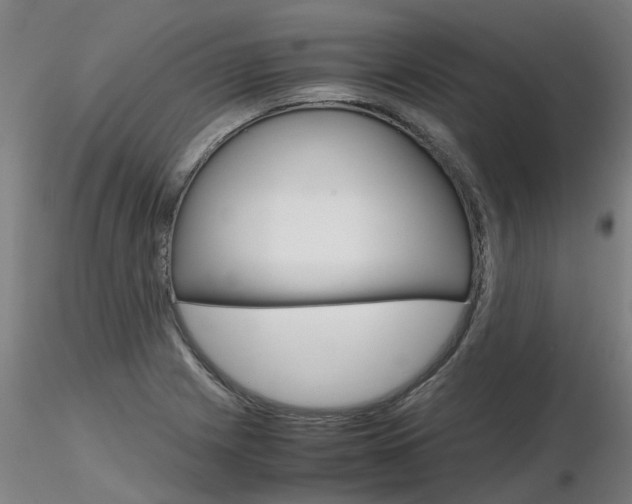 X0000116801225200912181110