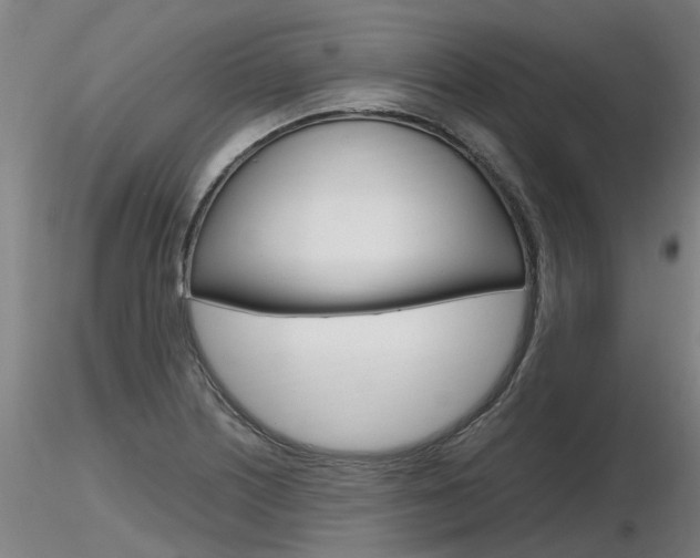 X0000116801226200912181110