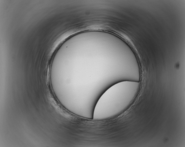 X0000116801227200912181110