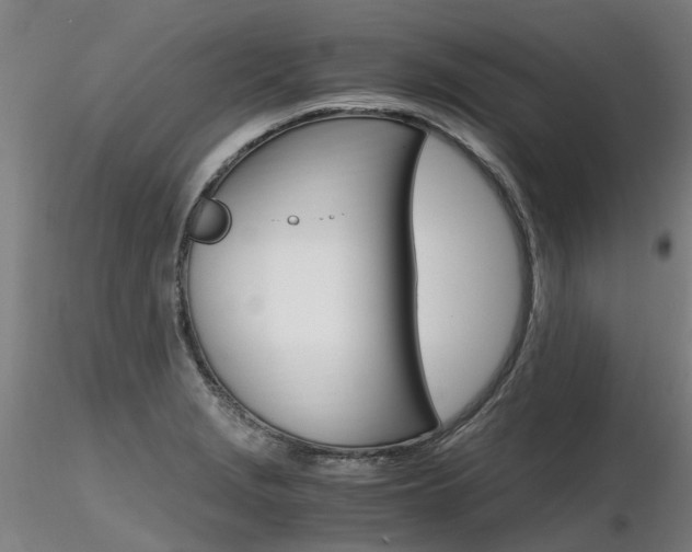 X0000116801229200912181110