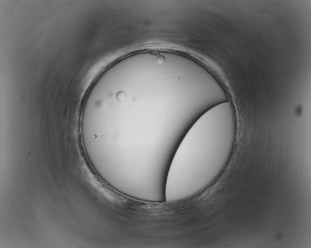 X0000116801231200912181110