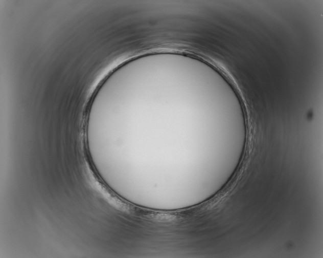 X0000116801235200912181110