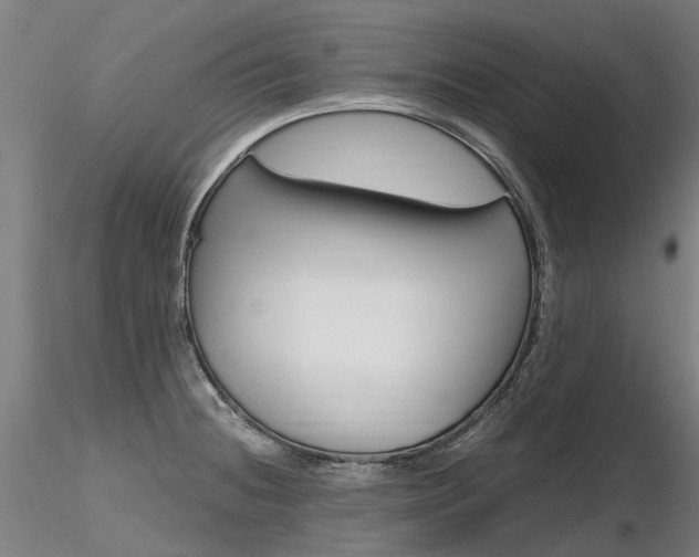 X0000116801236200912181110