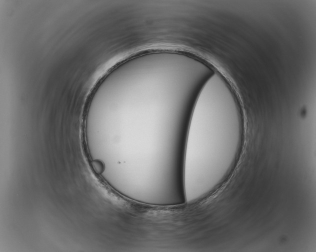X0000116801237200912181110