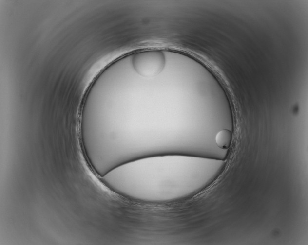 X0000116801239200912181110
