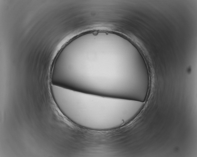 X0000116801240200912181110