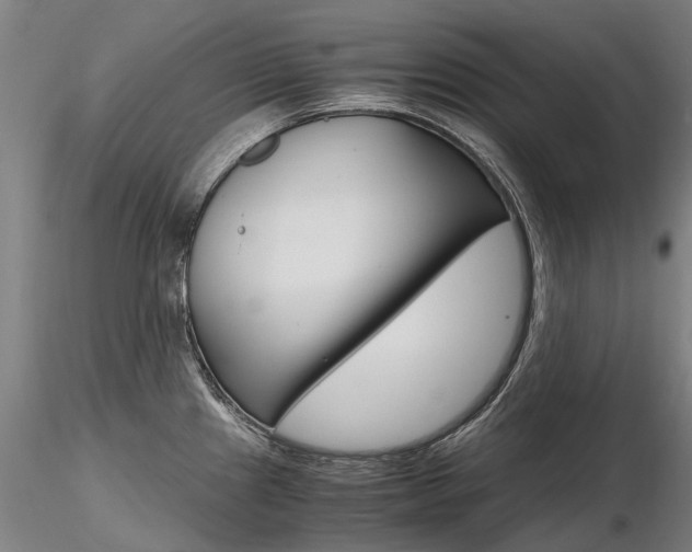 X0000116801241200912181110