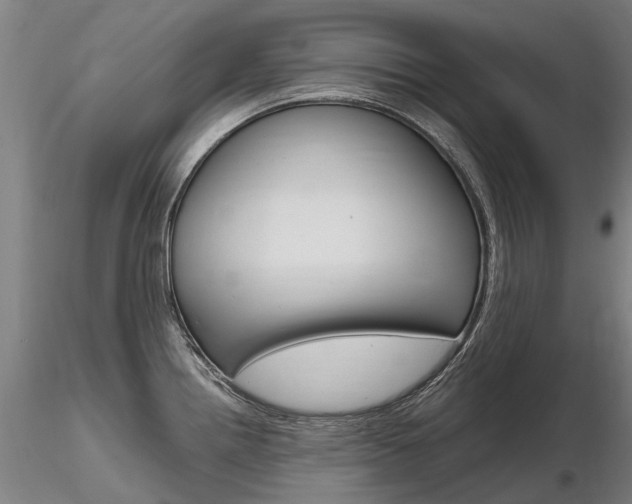 X0000116801242200912181110