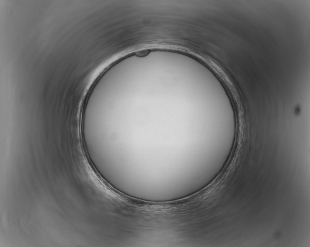 X0000116801246200912181110