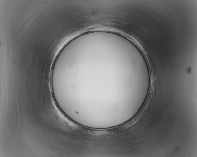 X0000116801247200912181110