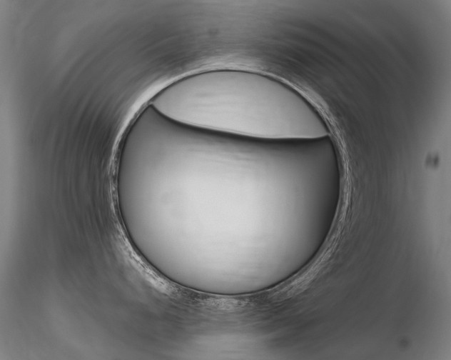 X0000116801248200912181111
