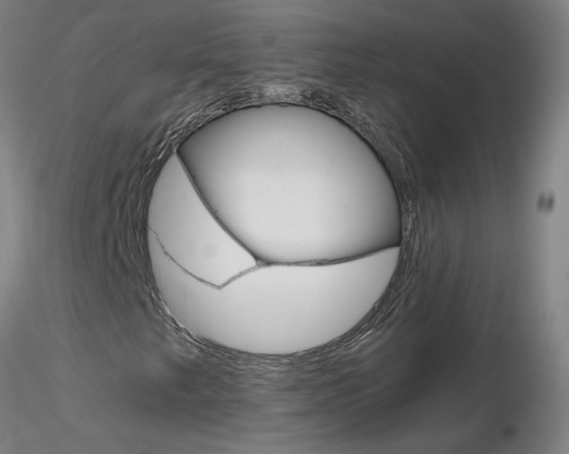 X0000116801249200912181110