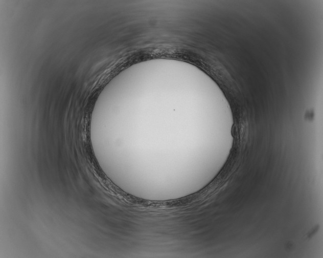 X0000116801250200912181110