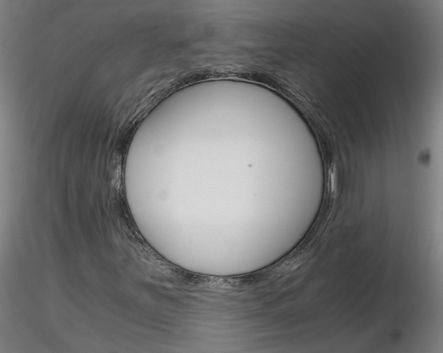 X0000116801251200912181110