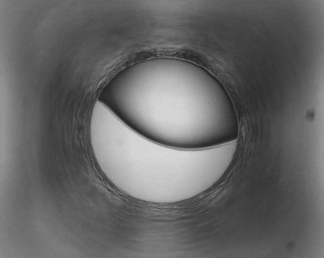 X0000116801252200912181110