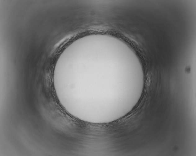 X0000116801254200912181110