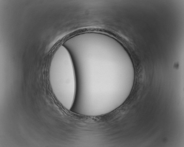 X0000116801255200912181110