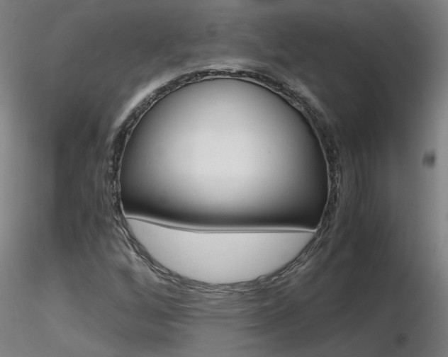 X0000116801256200912181110