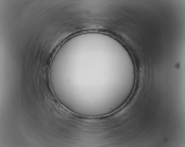 X0000116801257200912181110
