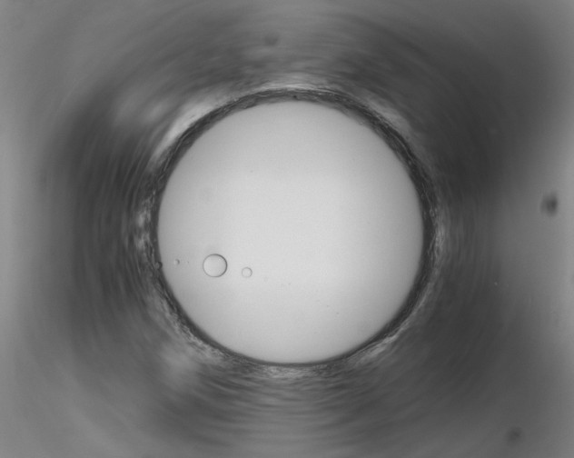 X0000116801258200912181110