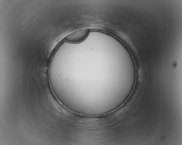 X0000116801260200912181110