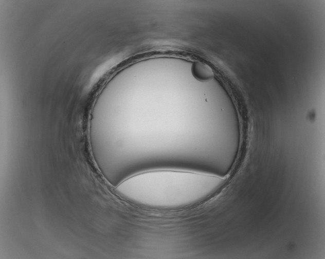 X0000116801261200912181110
