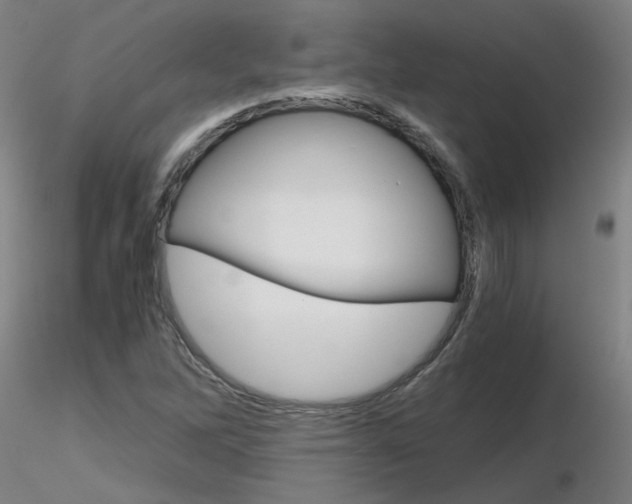 X0000116801262200912181110