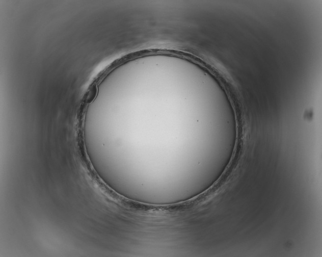 X0000116801264200912181110