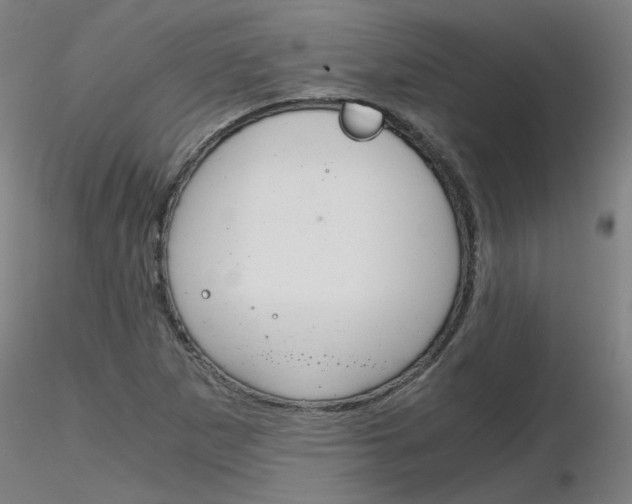 X0000116801265200912181110