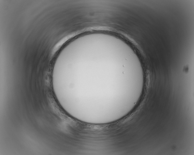 X0000116801266200912181110