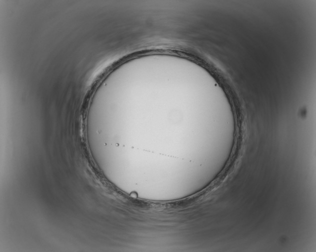 X0000116801267200912181110