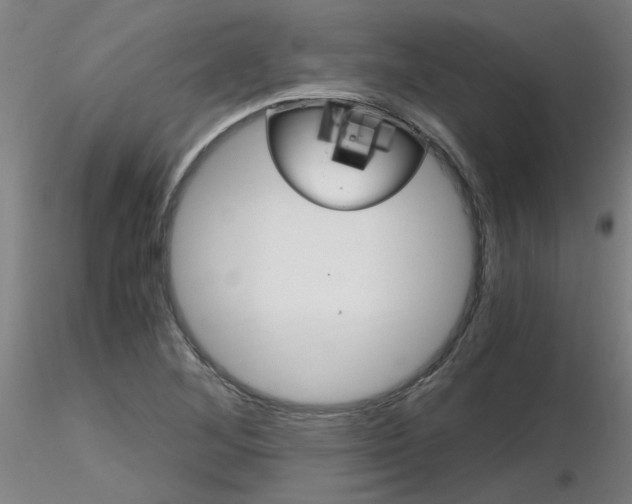 X0000116801268200912181110