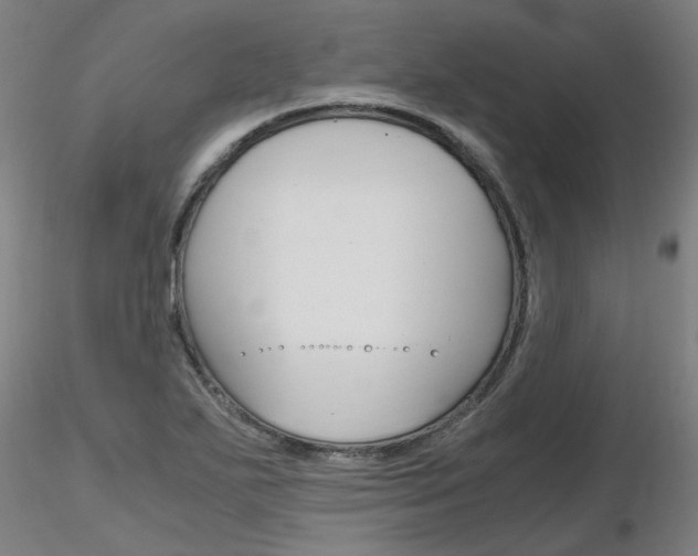 X0000116801271200912181110