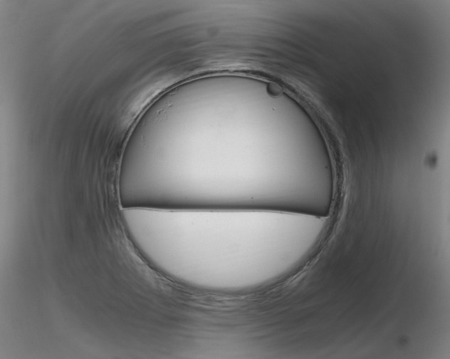 X0000116801273200912181110