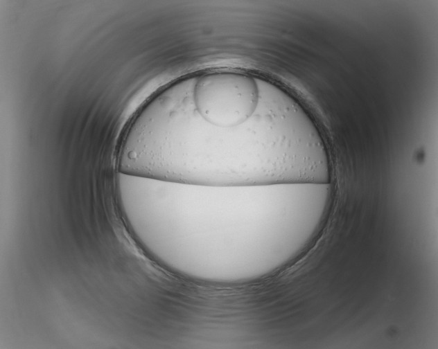 X0000116801274200912181110