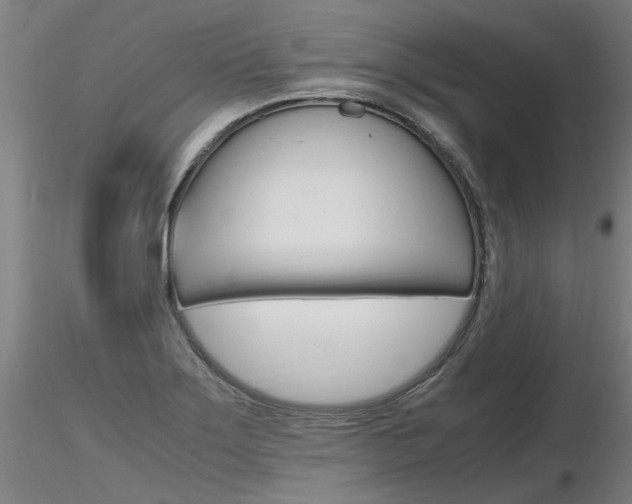 X0000116801275200912181109