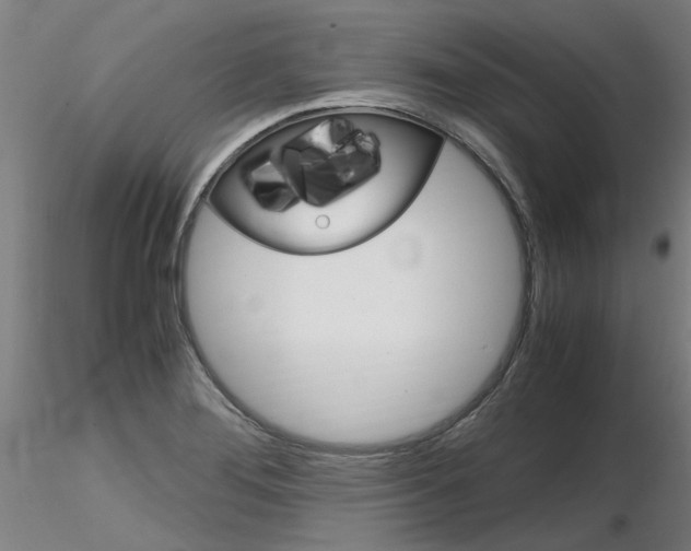 X0000116801276200912181109