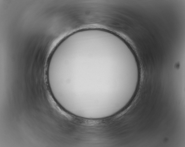 X0000116801278200912181109