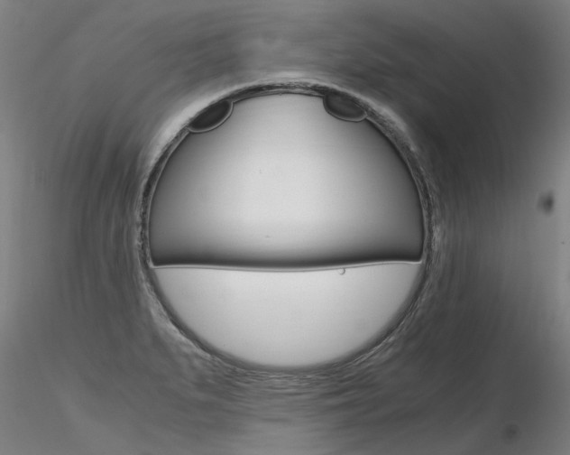 X0000116801279200912181109