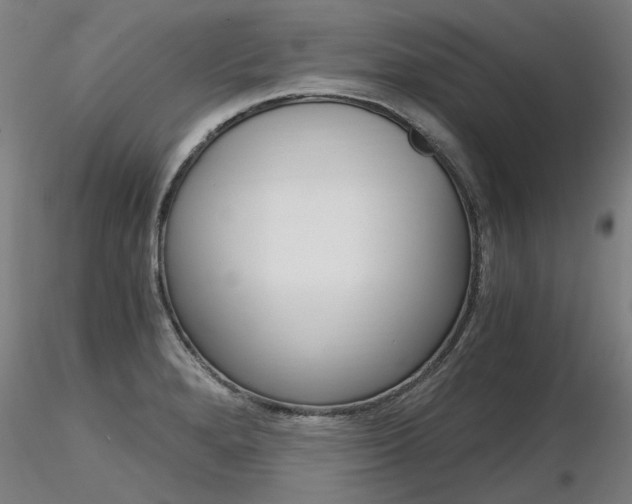 X0000116801280200912181109
