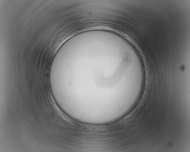 X0000116801281200912181109
